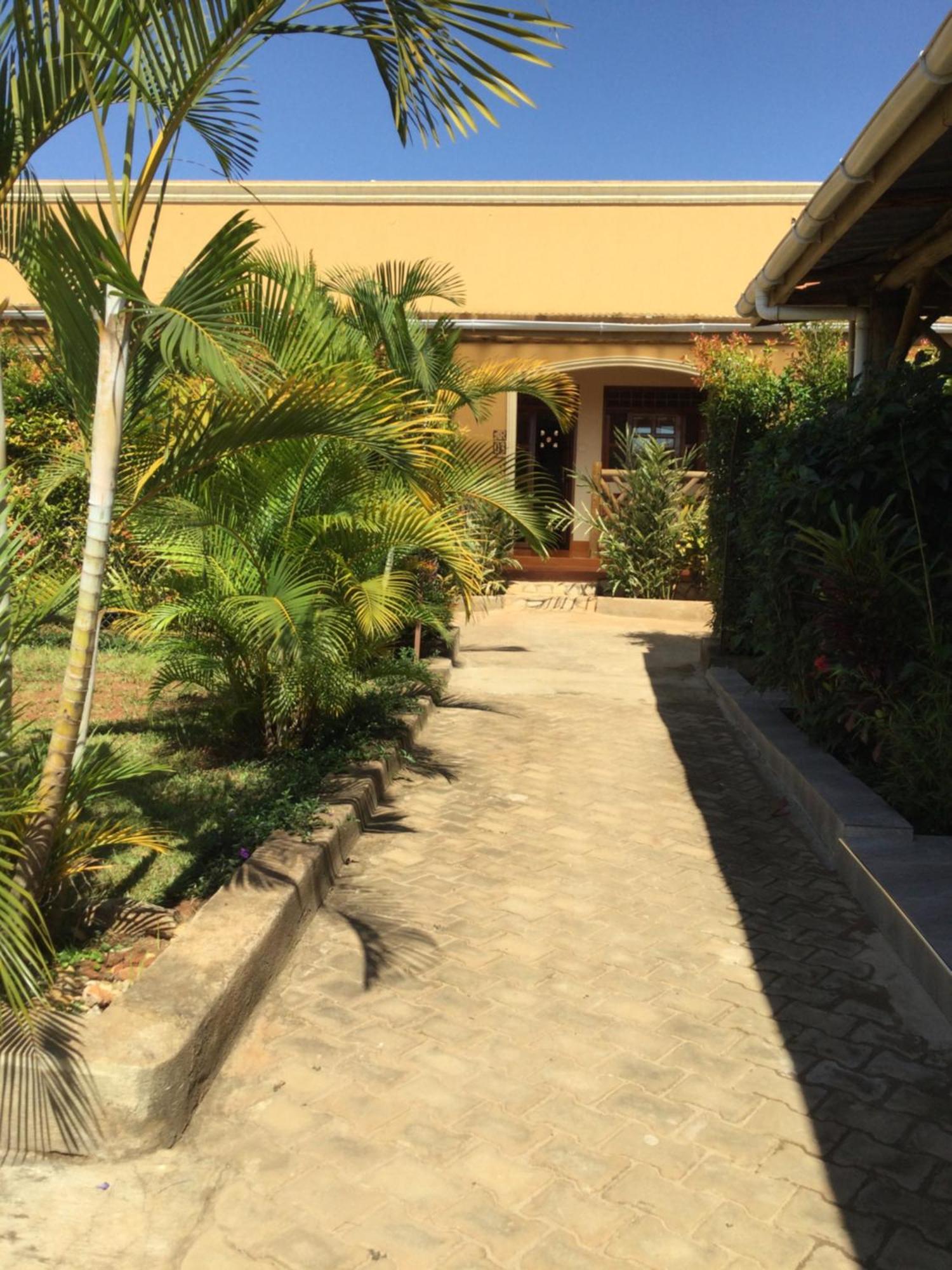 African Roots Guesthouse אנטבה מראה חיצוני תמונה