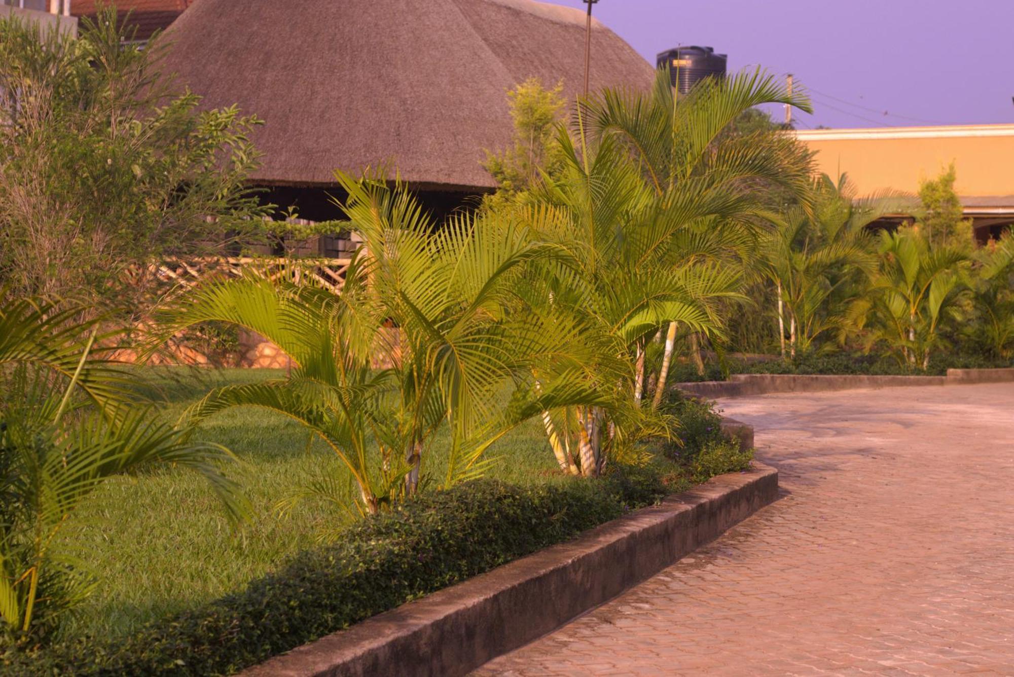 African Roots Guesthouse אנטבה מראה חיצוני תמונה