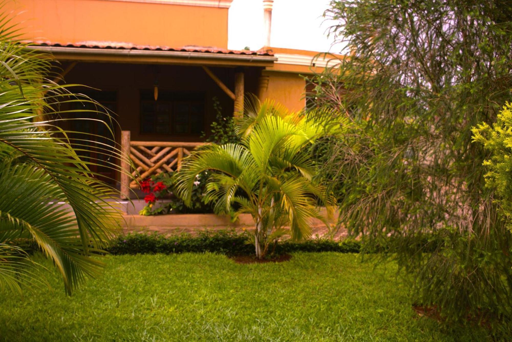 African Roots Guesthouse אנטבה מראה חיצוני תמונה